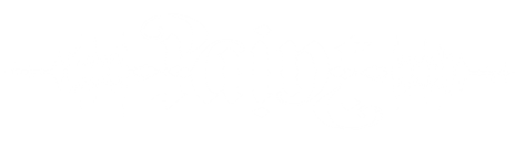 „Paint Studios Ltd.“-Logo, zur Startseite